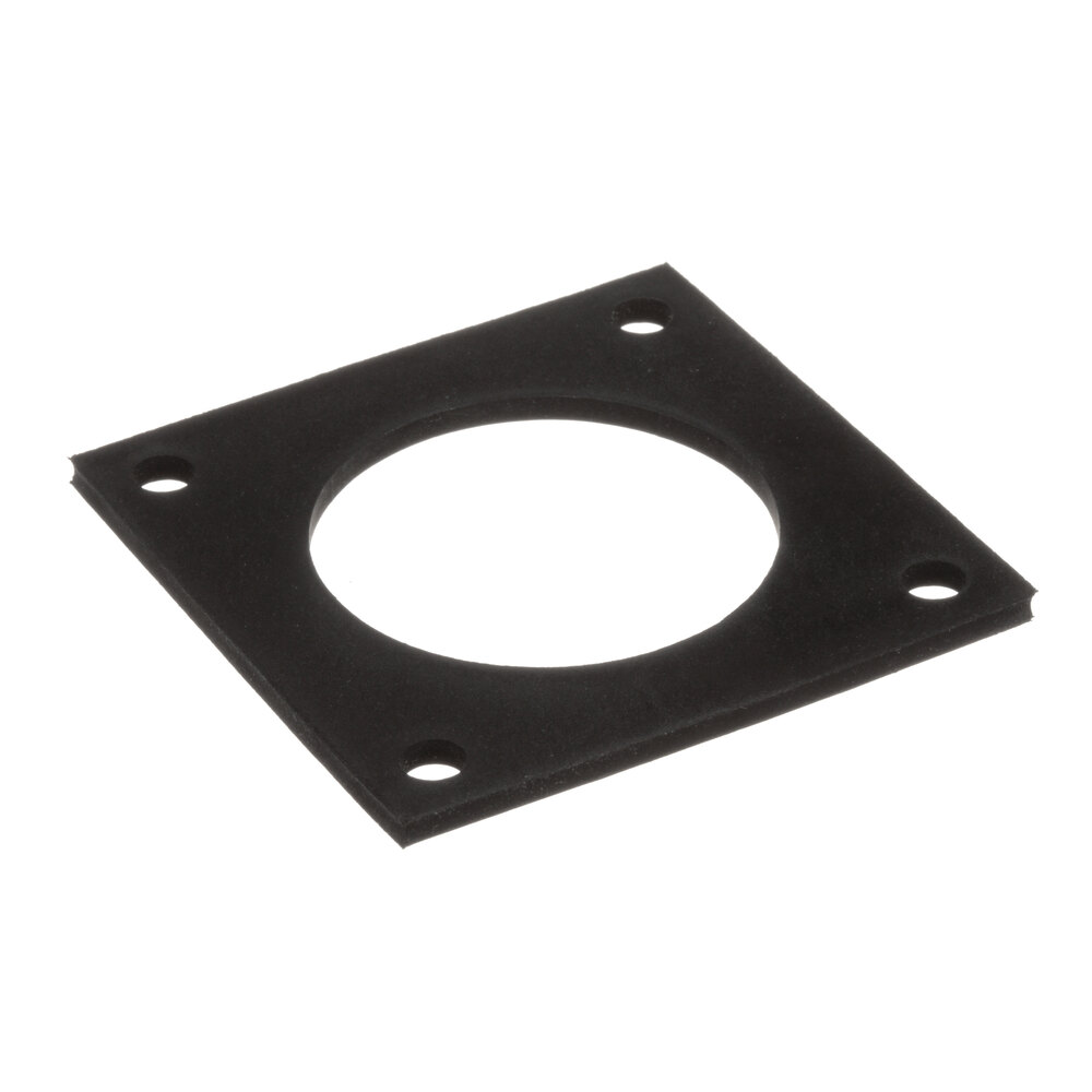 Blodgett R1491 Gasket, Probe Level Sensing