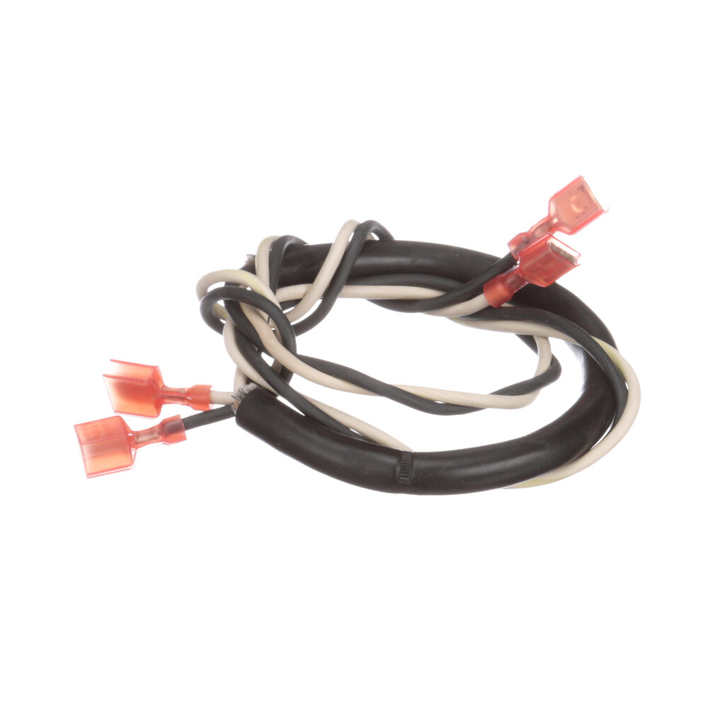 Blodgett R2385 Harness ; Door Switch