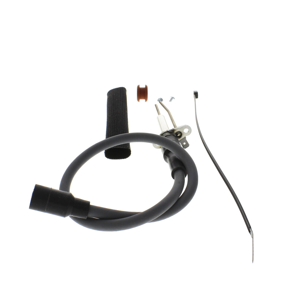 A.O. Smith 100113150 Flame Rod Assy.