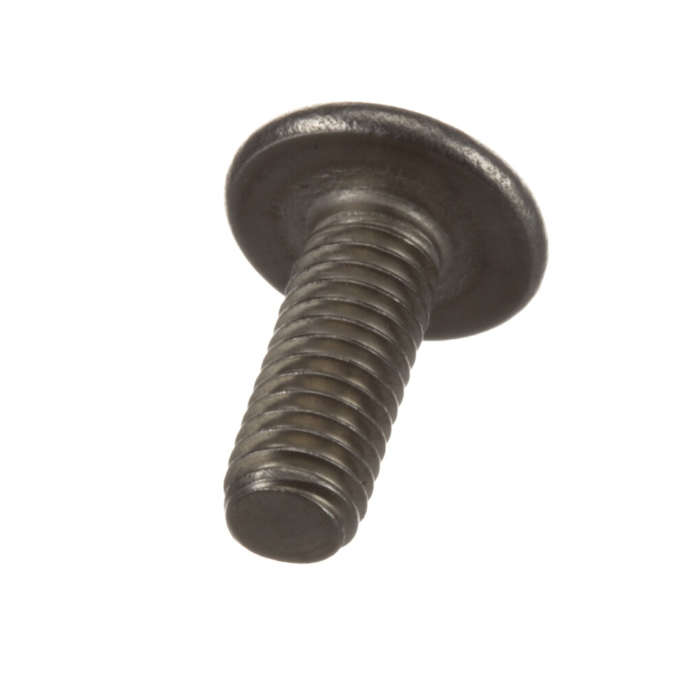 Alto-Shaam SC-2661 Screw,10-32X1/2" Trhphh Sst 1