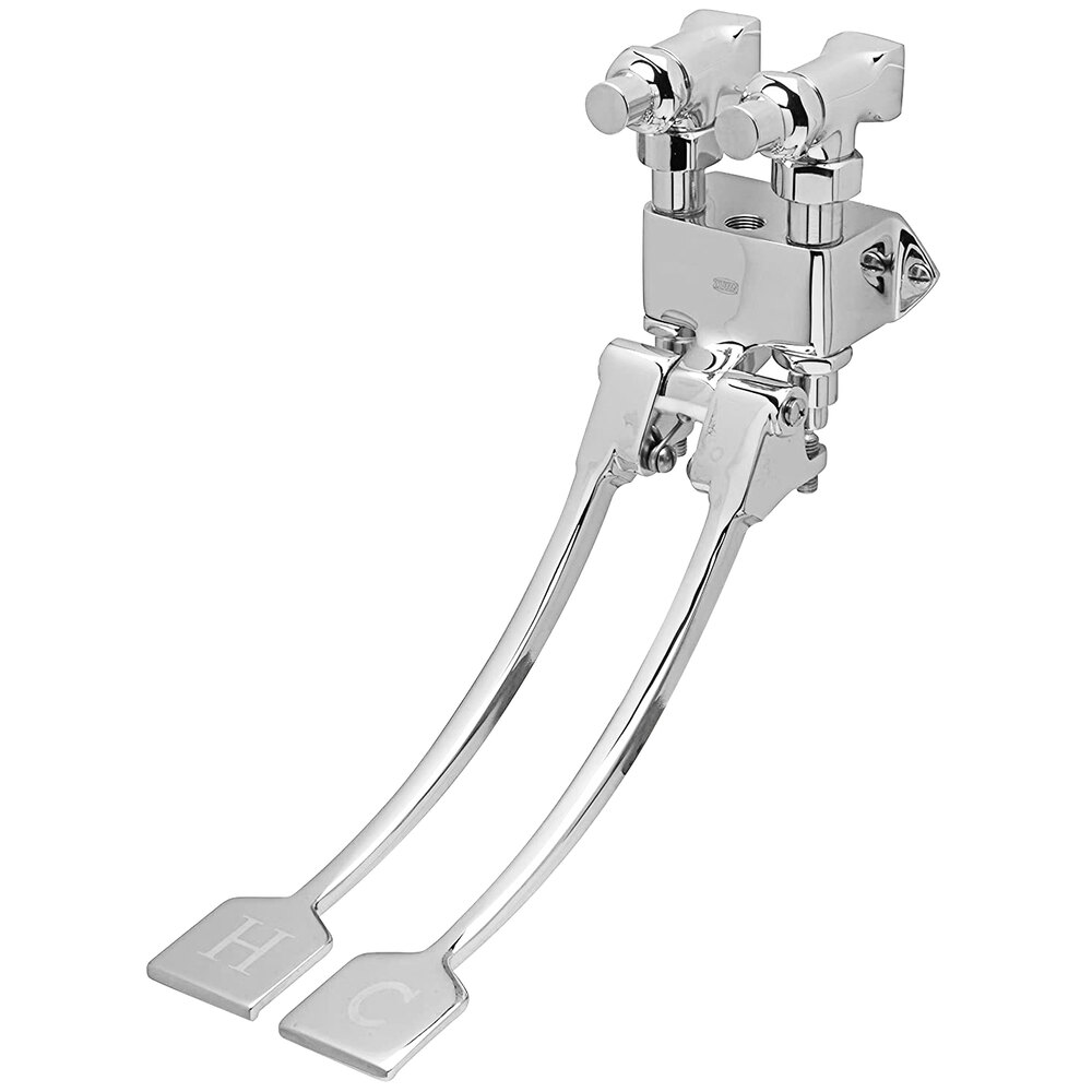 Zurn Elkay Z85500-XL-WM AquaSpec Wall Mount Double Pedal Valve