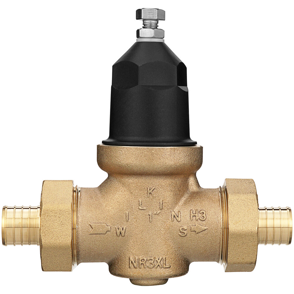 Zurn Elkay 1-NR3XLDUPEX 1" Double Union Water Pressure Reducing Valve with Mail Tailpiece