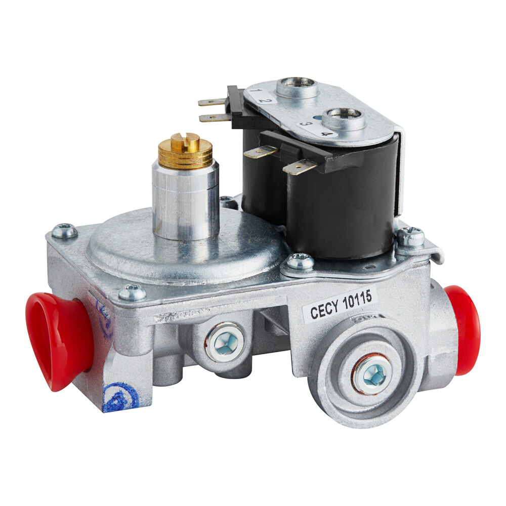 Vulcan 00-497269-00002 Valve,Combo W.R. 25m02-738 Lp