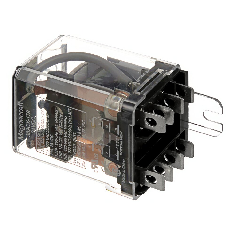 AllPoints 441774 2 Pole Relay